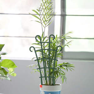 Plant <b>Climbing</b> <b>Frames</b> Stakes Arm Plant Support Ring Plant <b>Climbing</b> Trellis - Product Image 5