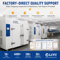 LIYI 200c 300 Degré 500c Customize Big Industrial Heat Dry Cabinet Thermal Radiation Four Prix