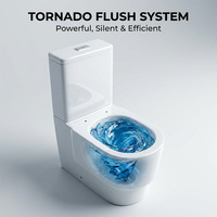 WC en céramique deux pièces à chasse d'eau Tornado, à poser au sol, avec abattant à fermeture douce, certifié CE WaterMark, OEM ODM pour hôtel