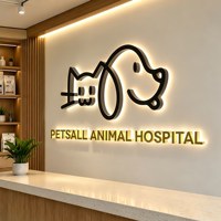 Letrero 3D Iluminado Dorado para Hospital Veterinario, Letras de Canal LED Retroiluminadas, Señalización Comercial para Recepción de Clínica Veterinaria, de Fábrica