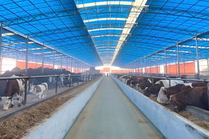 Poulailler et ferme en acier galvanisé robuste - Structure en acier durable avec conception personnalisée - Product Image 3