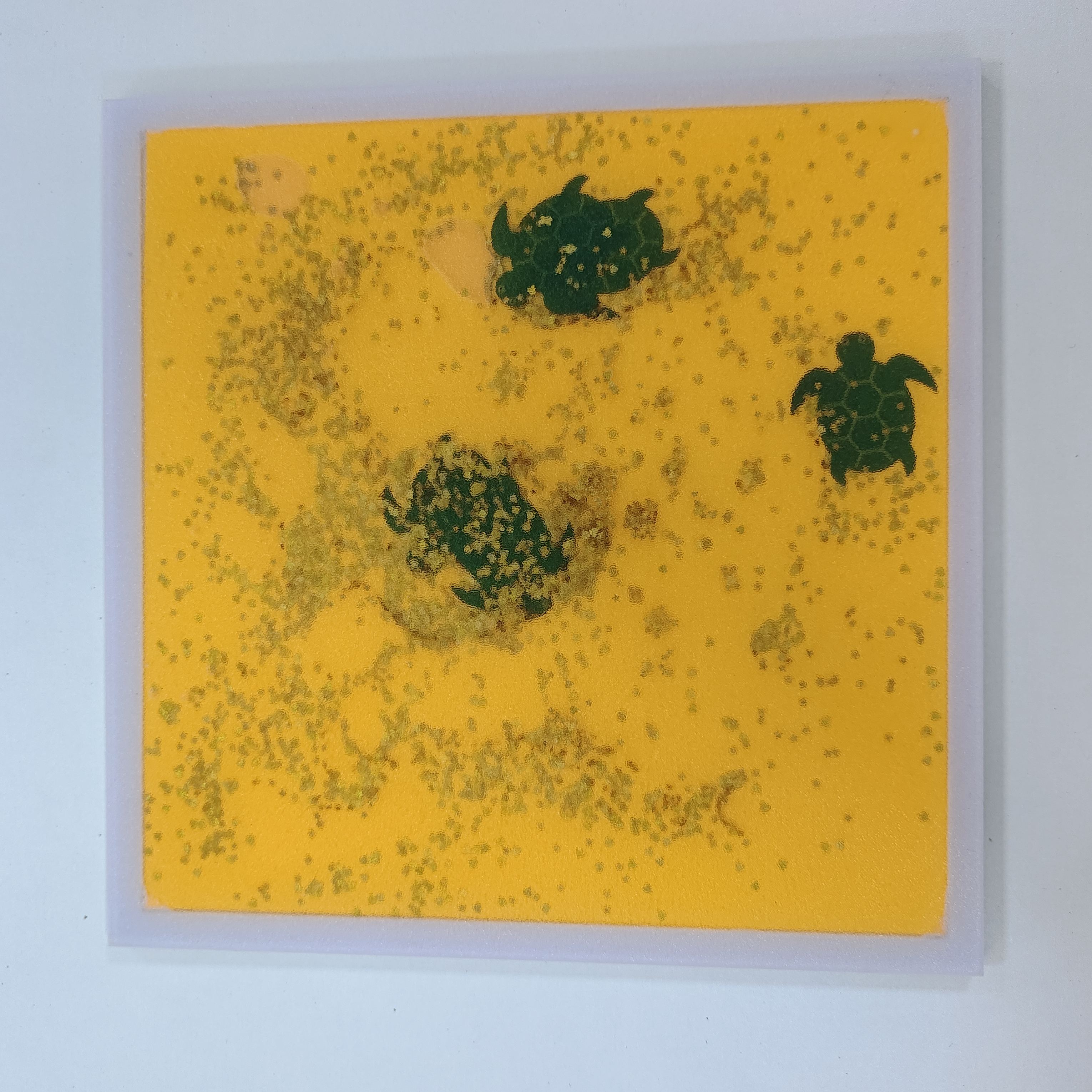 รุ่นเต่าทะเลสีเหลือง