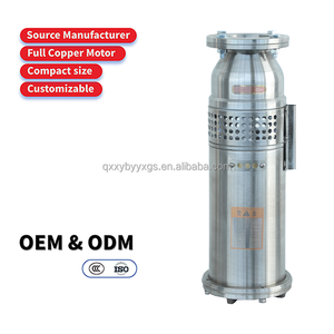 Pompe auto-amorçante en acier inoxydable 304, pompe de surpression pour conduites domestiques, pompe d'irrigation agricole, pompe d'aspiration d'eau de puits - Product Image 1