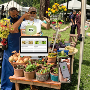 Selección Biológica de Legumbres Históricas para Macetas y Jardineras - Product Image 2