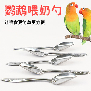 Kit de alimentación para pájaros, cuchara de plástico, jeringa, herramientas de tuberías para loros bebés, forma redonda duradera, para todas las estaciones - Product Image 4