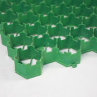 Dalle de Stabilisation de Gravier en Plastique Perméable pour Voiture et Gazon