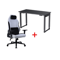 Meistverkaufter Gaming Elektrischer Steh-Sitz-Schreibtisch Höhenverstellbar mit Kohlefaser-Oberfläche Integriertes Kabelmanagement für Zuhause