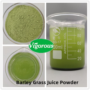 Échantillons Gratuits de Poudre de Jus d'Herbe d'<span class=keywords><strong>Orge</strong></span> Pure de Bonne Qualité pour la Santé - Product Image 3