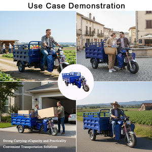 Tricycle à moteur 300cc à carrosserie ouverte, <span class=keywords><strong>moto</strong></span> à trois <span class=keywords><strong>roues</strong></span>, <span class=keywords><strong>moto</strong></span> à essence pour le transport de marchandises - Product Image 3