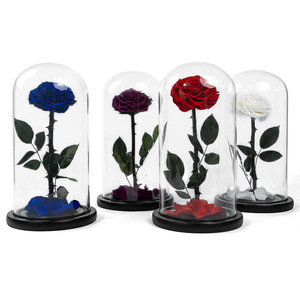 Caja de regalo con cubierta de cristal del Principito PARA EL Día DE LA Madre, Día de San Valentín, rojo, rosa, nunca se desvanecen, flores de regalo para regalos de fiesta - Product Image 4