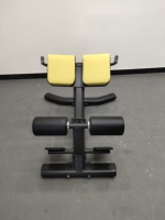 Chaise romaine de banc d'exercice de force de machine d'extension de dos de gymnase professionnel