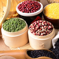 Moulin Commercial Ultra-Robuste de 5000g pour Riz, Maïs, Farine, Céréales et Épices – Broyeur pour Cuisine Professionnelle
