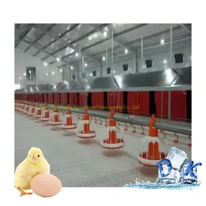 Automatic Poultry broiler chicken Farm Floor Raising feeder Breeder Pan and Drinker System Livestock poultry equipment