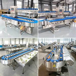 Máquina Clasificadora y Seleccionadora de Alimentos para Mariscos, Caracoles, Granadas, Pescado y Ostras, con Pesaje Automático y Clasificación por Tamaño en Acero Inoxidable - Product Image 2