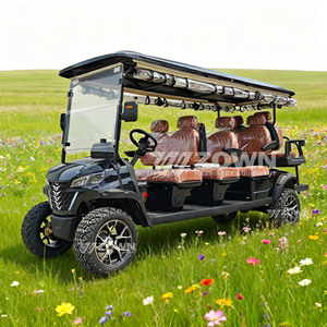 Carro de golf de 8 plazas con carrocería larga, asientos de cuero cómodos y techo largo a juego, para transporte de huéspedes en hoteles y complejos turísticos. - Product Image 5