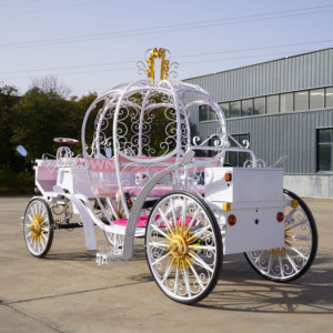 Chariot de luxe en forme de citrouille de Cendrillon, fait main, vintage, électrique, couleur personnalisable, capacité 6 personnes, garantie 2 ans, à <span class=keywords><strong>louer</strong></span> - Product Image 6