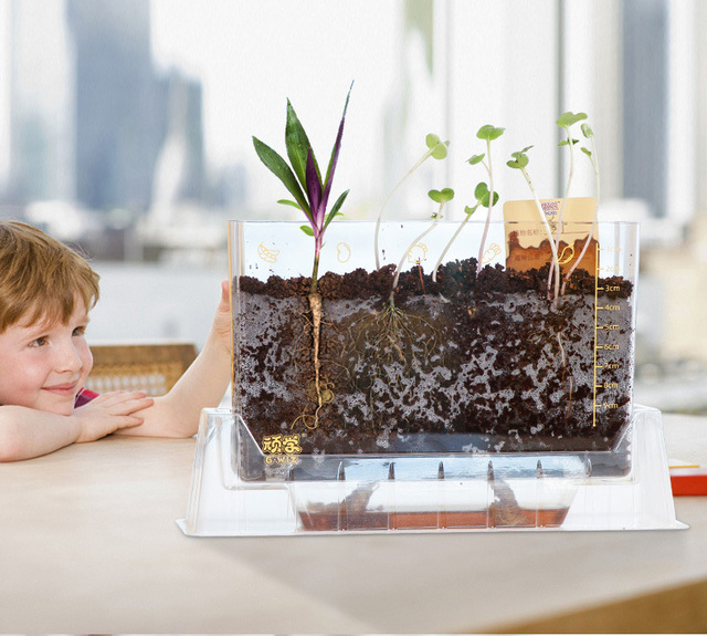 Gelsonlab HSTM-083 Observation Box for Plant Roots, Seed Germination Cultivation, Hydroponics Lab Set