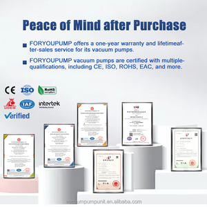 <span class=keywords><strong>Pompe</strong></span> à vide FORYOUPUMP série 2BE, électrique, en acier inoxydable/fer fonte, à <span class=keywords><strong>anneau</strong></span> <span class=keywords><strong>liquide</strong></span> multi-étages, haute efficacité, haute capacité, OEM - Product Image 3