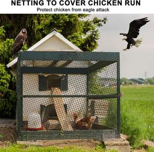 <span class=keywords><strong>Red</strong></span> Antiaves de Fácil Instalación, Resistente a los Rayos UV, Malla de PE de Alta Resistencia para Protección de Cultivos, Seguridad de Inventario - Product Image 3