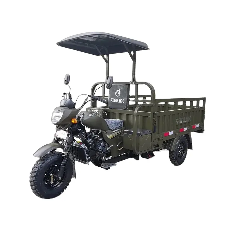 China motor t-rex 3 wheel motorcycle Heavy Loader Customization 200cc 250cc tricylcle motorcycle