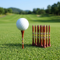 Kit de tees de golf portables en bois avec logo personnalisé, emballage en boîte de conserve, cadeau pour joueur de golf, accessoire
