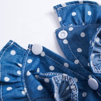 Jupe en Jean pour chat et chiot, vêtements pour chiens, robes pour animaux de compagnie, jupes en Jean pour chien et chaton