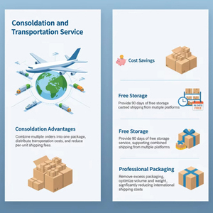 Spedizione aerea rapida in 2 giorni a Singapore |   Fornitore e Grossista B2B Affidabile - Product Image 3
