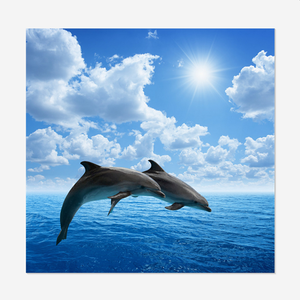 定制照片壁画艺术家居装饰海豚海风diy 5d钻石画壁画图片来样定做/odm