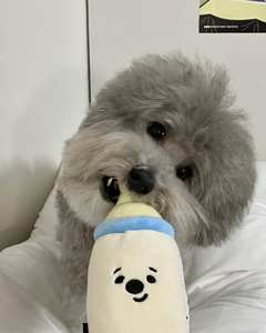 Jouets à mâcher en peluche pour chien, en forme de biberon, avec hochet et sifflet, écologiques, durables, dessin animé, nouveautés - Product Image 6