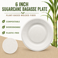 Assiette à dessert jetable en bagasse de canne à sucre compostable de 6 pouces, gaufrée, idéale pour les gâteaux, les amuse-gueules et la restauration événementielle
