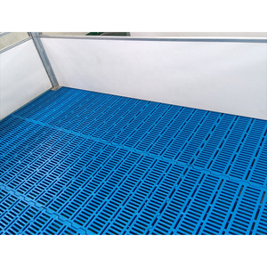 Piso de Plástico Emparrillado de 60*60 cm para Lechones <span class=keywords><strong>en</strong></span> Jaulas de Maternidad Porcina <span class=keywords><strong>en</strong></span> <span class=keywords><strong>Venta</strong></span> - Product Image 5