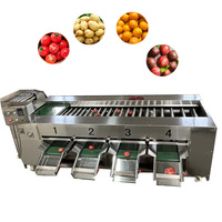 Commerciële sorteer- en sorteermachine voor aardappelen, uien, tomaten, lychees, kiwi's en appels; sorteermachine met rollen voor het sorteren van fruit op maat.