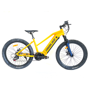 Vélo électrique de qualité supérieure de 26 pouces avec moteur et cadre en acier pour adultes - Product Image 1