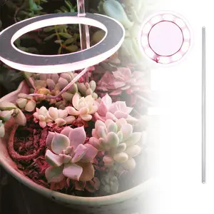 HoneyFly LED 천사 반지 성장 빛 DC5V USB Phytolamp 식물 후광 전체 스펙트럼 성장 램프 실내 식물 묘목 꽃