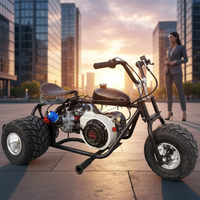Nuevo en Stock: Mini Triciclo Go-Kart de 212cc, 4 Tiempos, Llantas de 5 Pulgadas, Velocidad Máxima 60km/H, para Niños y Adultos, Ideal para Parques al Aire Libre