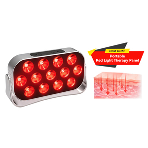 Panel de Terapia de Luz Roja Portátil, 13 LED, Recargable, Cuerpo de Aleación de Aluminio, para Rostro y Cuerpo, Uso Doméstico - Product Image 1