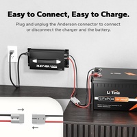 Chargeur de batterie 1200W pour batteries Lifepo4, Lithium, Lipo, Li-ion, Plomb-acide (SLA) 12A-40A 12V 24V 36V 48V 60V 72V