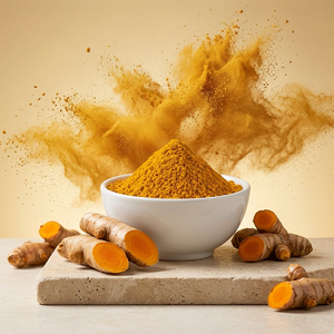 Fournisseur en gros d'extrait de curcuma en poudre, extrait naturel de curcumine, fabricant d'extrait de curcumine à 95% - Product Image 1