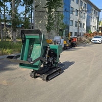 Mini-Dumper Raupenlader Robust Langlebig Kraftstoffsparend Briggs&Stratton Vanguard Motor Eaton Hydraulikpumpe Hohe Nutzlast
