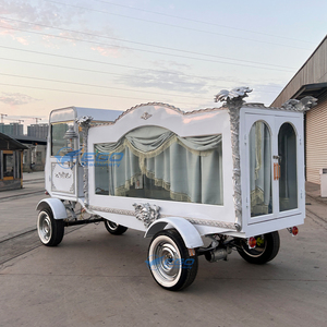 Cercueil électrique personnalisé pour transport funéraire, véhicule spécial pour église et crématorium, voiture classique haut de gamme, vente chaude - Product Image 5