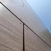 Panneau extérieur professionnel en HPL de 8 mm, placage en stratifié phénolique, panneau mural en bois, revêtement