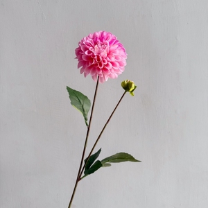 YOPIN-2813 Fleurs de <span class=keywords><strong>Dahlia</strong></span> artificielles en latex de haute qualité à toucher réaliste, rose vif, pour décoration de mariage - Product Image 5