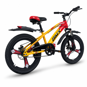 싱타이 공장 공급업체 20인치 싱글 스피드 MTB BMX 분할 도장 프레임 CKD, AB 카톤당 3개, 좋은 가격 - Product Image 4