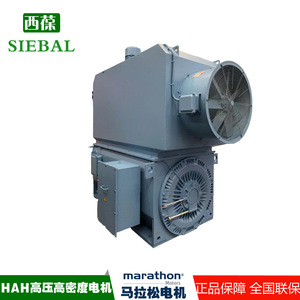 Moteur haute tension haute densité Marathon Hah IP55 étanche pour ventilateurs et pompes à eau - Product Image 3