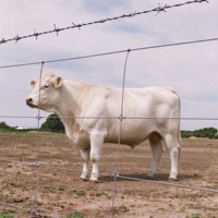 Clôture de champ en treillis métallique tissé à nœuds fixes galvanisé haute résistance pour bétail, moutons, cerfs, chèvres, élevages, vente en gros