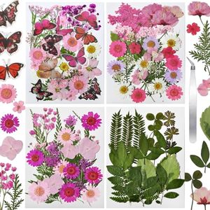 Assortiment <span class=keywords><strong>de</strong></span> feuilles florales séchées naturelles pour kit d'artisanat DIY, pour la résine, la fabrication <span class=keywords><strong>de</strong></span> téléphones, <span class=keywords><strong>de</strong></span> savons, <span class=keywords><strong>de</strong></span> bougies et <span class=keywords><strong>de</strong></span> bijoux - Product Image 6