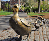 Décoration de jardin moderne, statue de canard en bronze antique poli, taille réelle