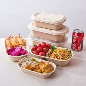CE certicatetake pergi wadah kertas kotak makanan tebu kertas sekali pakai makanan katering bambu kotak makan siang membuat garis