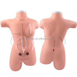 Maniquí <span class=keywords><strong>de</strong></span> Entrenamiento Médico para Sutura Quirúrgica y Aplicación <span class=keywords><strong>de</strong></span> Vendajes, Venta <span class=keywords><strong>de</strong></span> Fábrica - Product Image 4