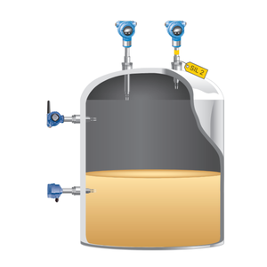 Detector de Nivel Inalámbrico Emerson Rosemount 2160, 100% Nuevo, Original, de Alta Calidad, con Horquilla Vibratoria, Buen Precio, Listo para Enviar - Product Image 6